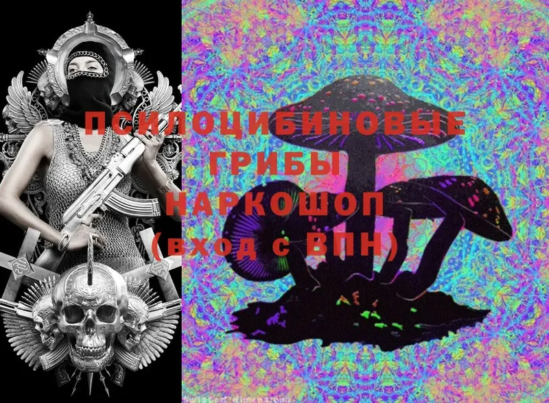 где купить   Саранск  Псилоцибиновые грибы Magic Shrooms 